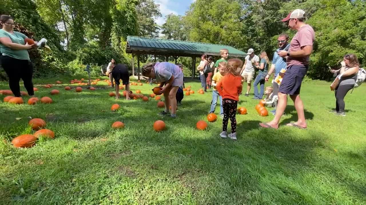 Thumbnail image for ONTV News Break: Fall Festival of Family Fun 2023