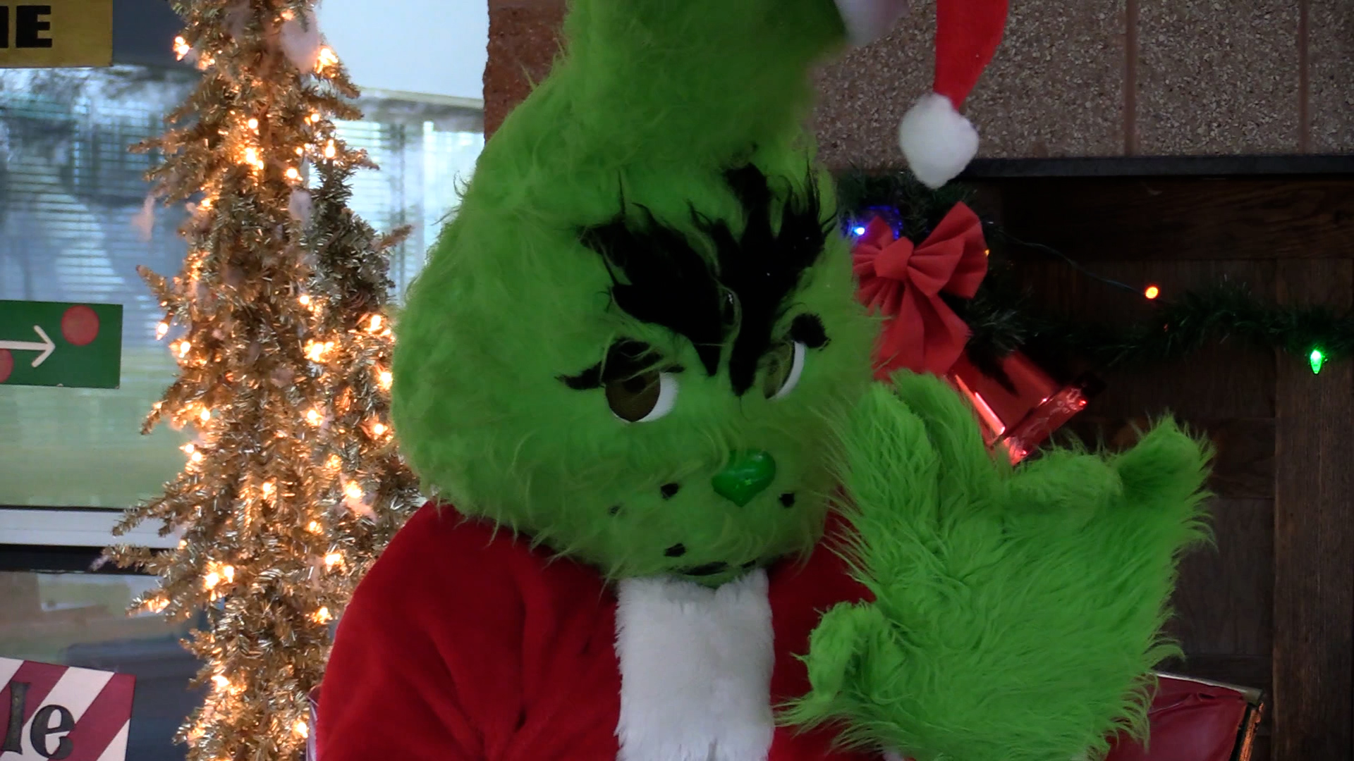 Thumbnail image for ONTV News Break: Pictures with the Grinch